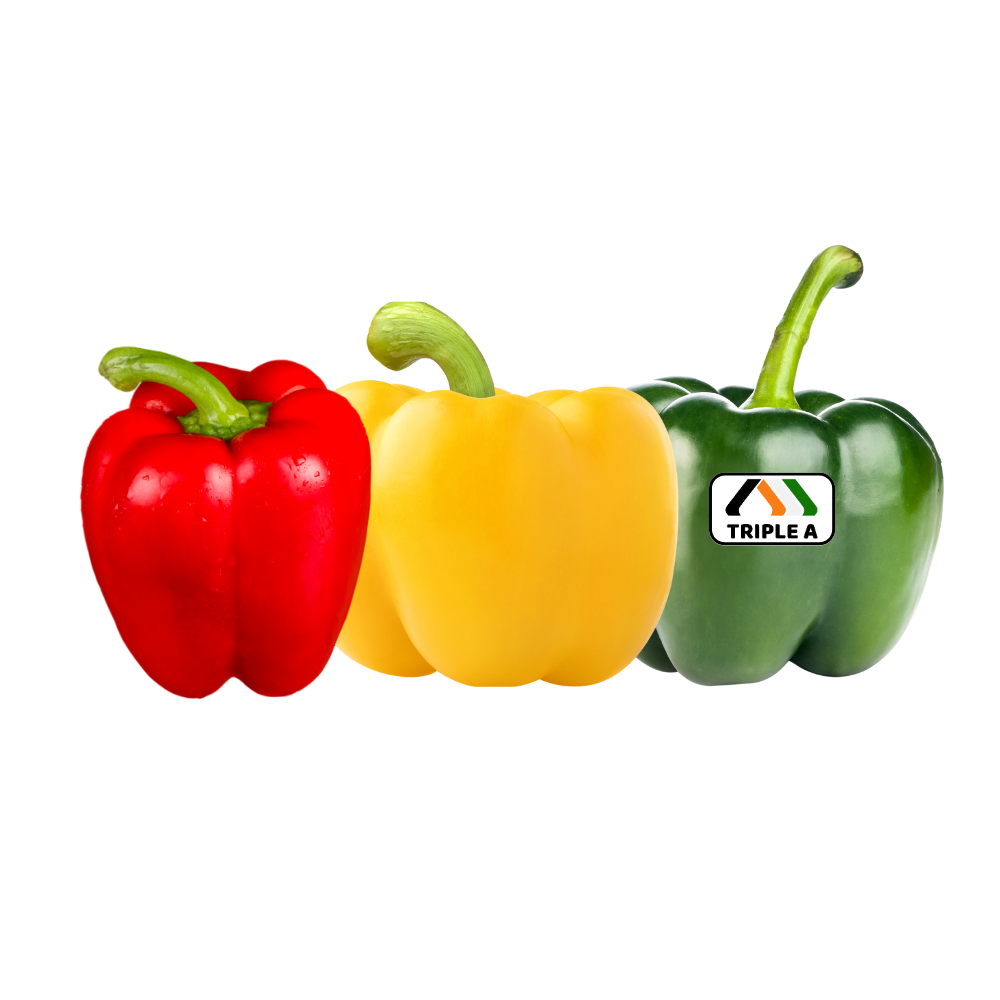 Capsicum