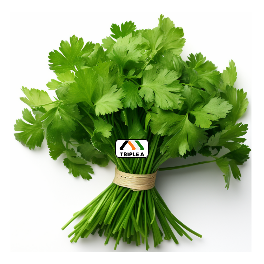 Coriander
