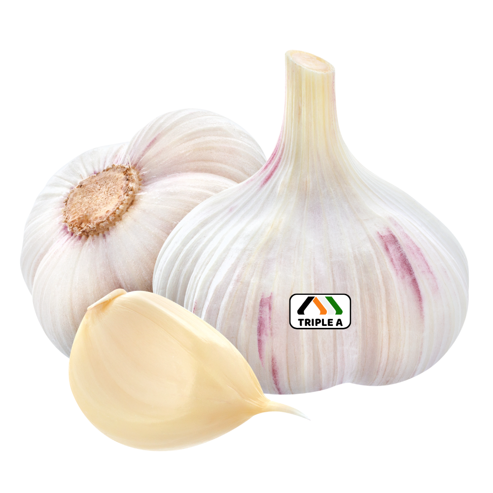 Garlic