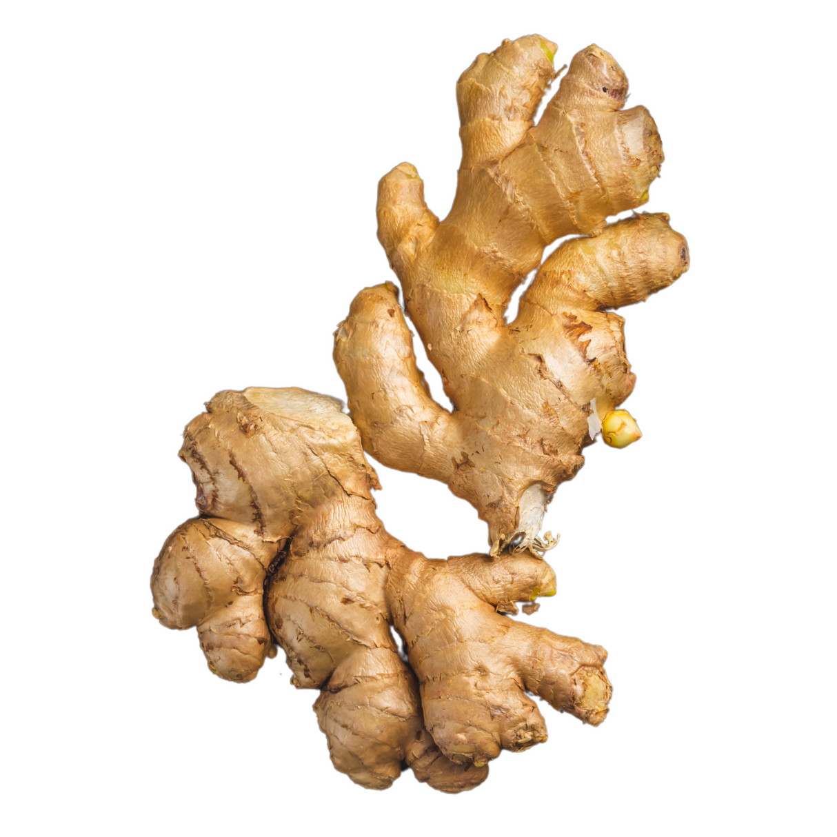 Indian Ginger - 1Kg