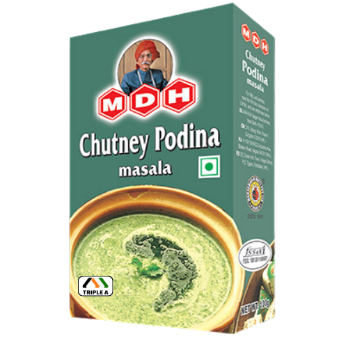 MDH Chutney Pudina Masala 100g